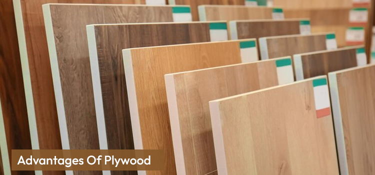 Advantages Of Plywood