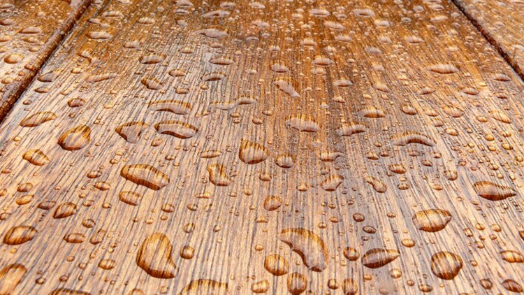 plywood moisture resistant