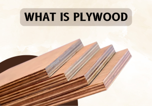 what is plywood