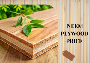 Neem Plywood