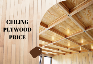 Ceiling Plywood