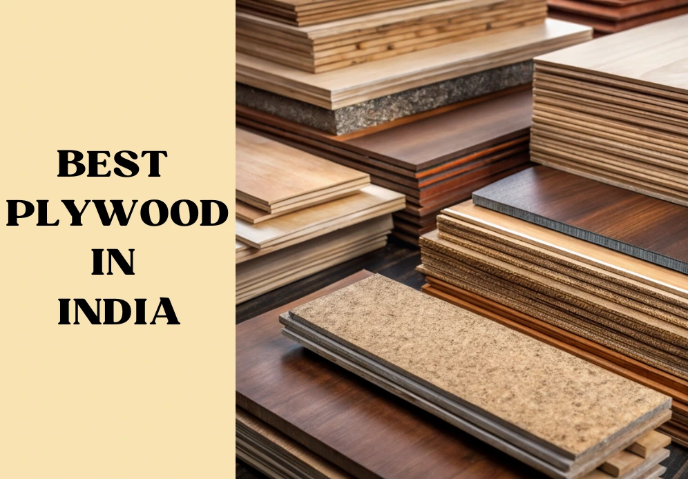 Best Plywood In India