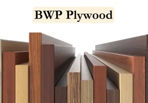 BWP Plywood