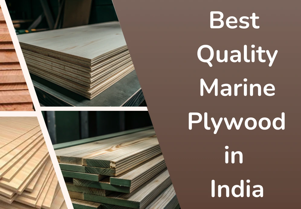 best Quality marine wood in India