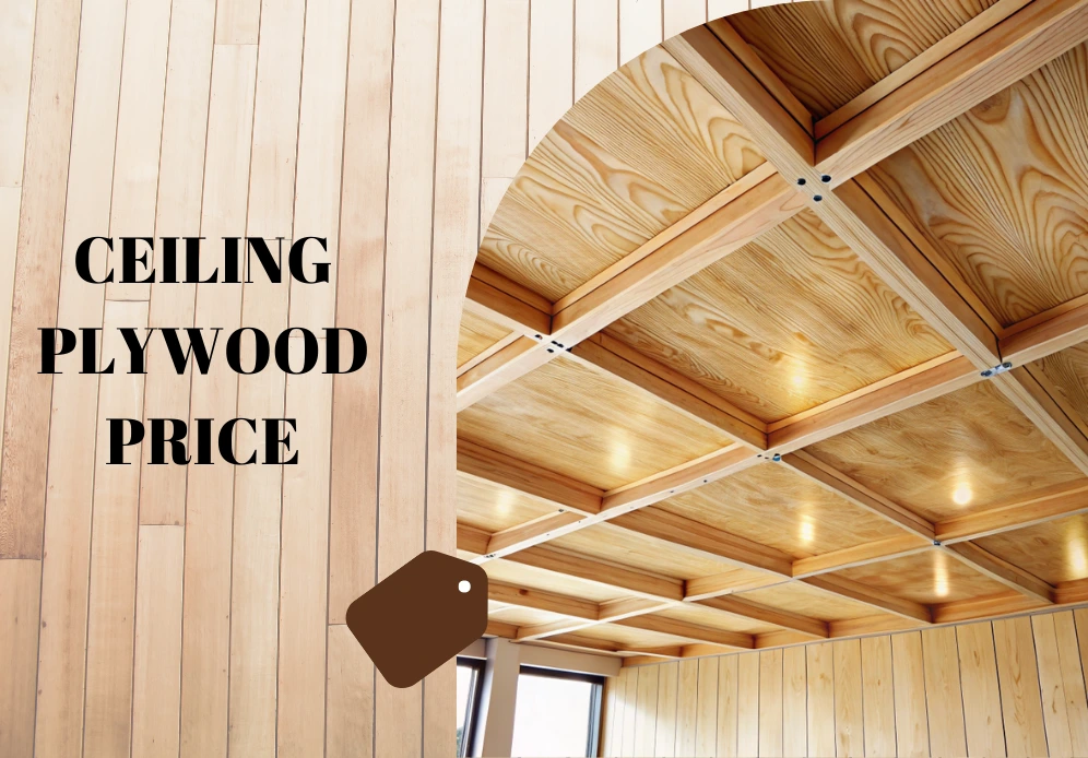 ceiling plywood price