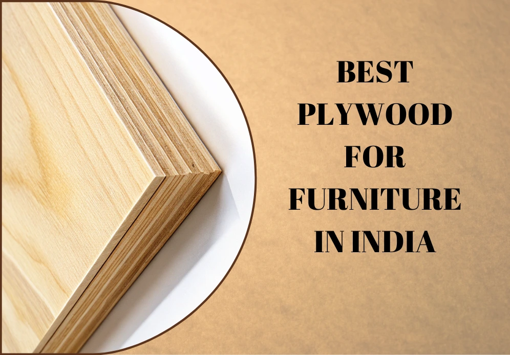 plywood in India