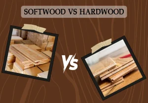 Softwood vs Hardwood