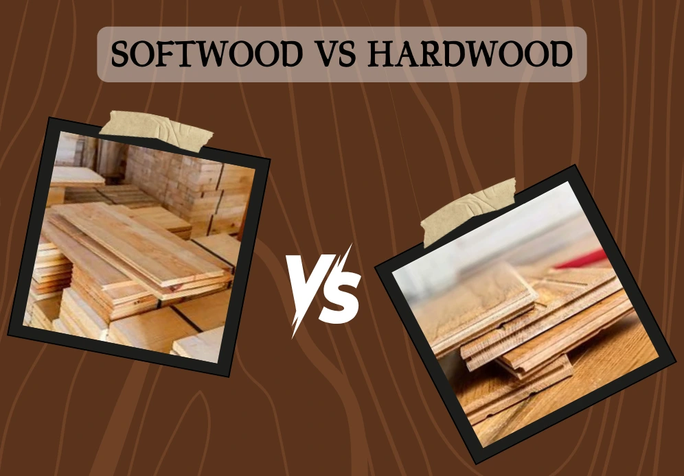 Softwood vs Hardwood