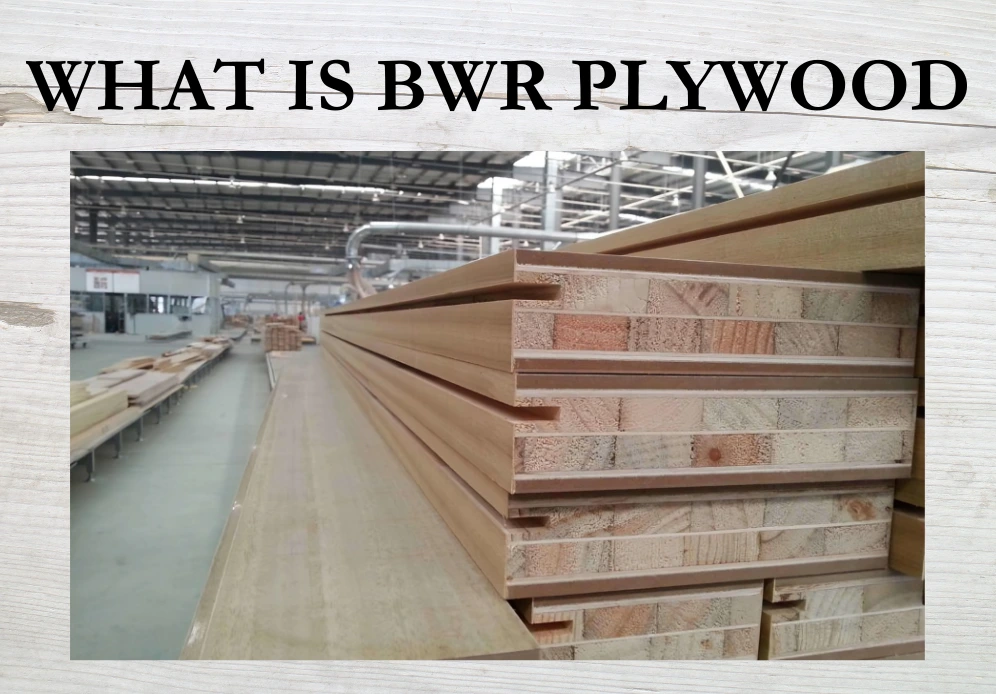 what is BWR Plywood?