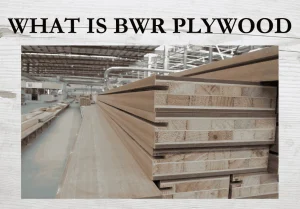 What is bwr plywood