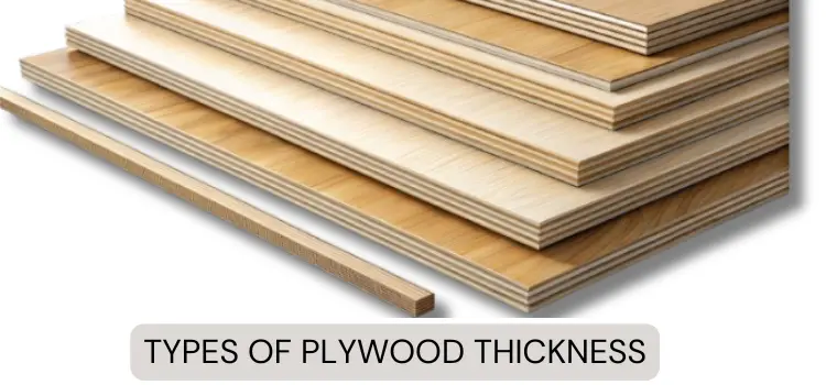 Plywood Thickness