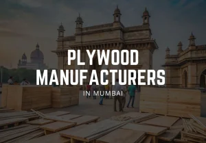 Plywood Manufacturers in Mumbai