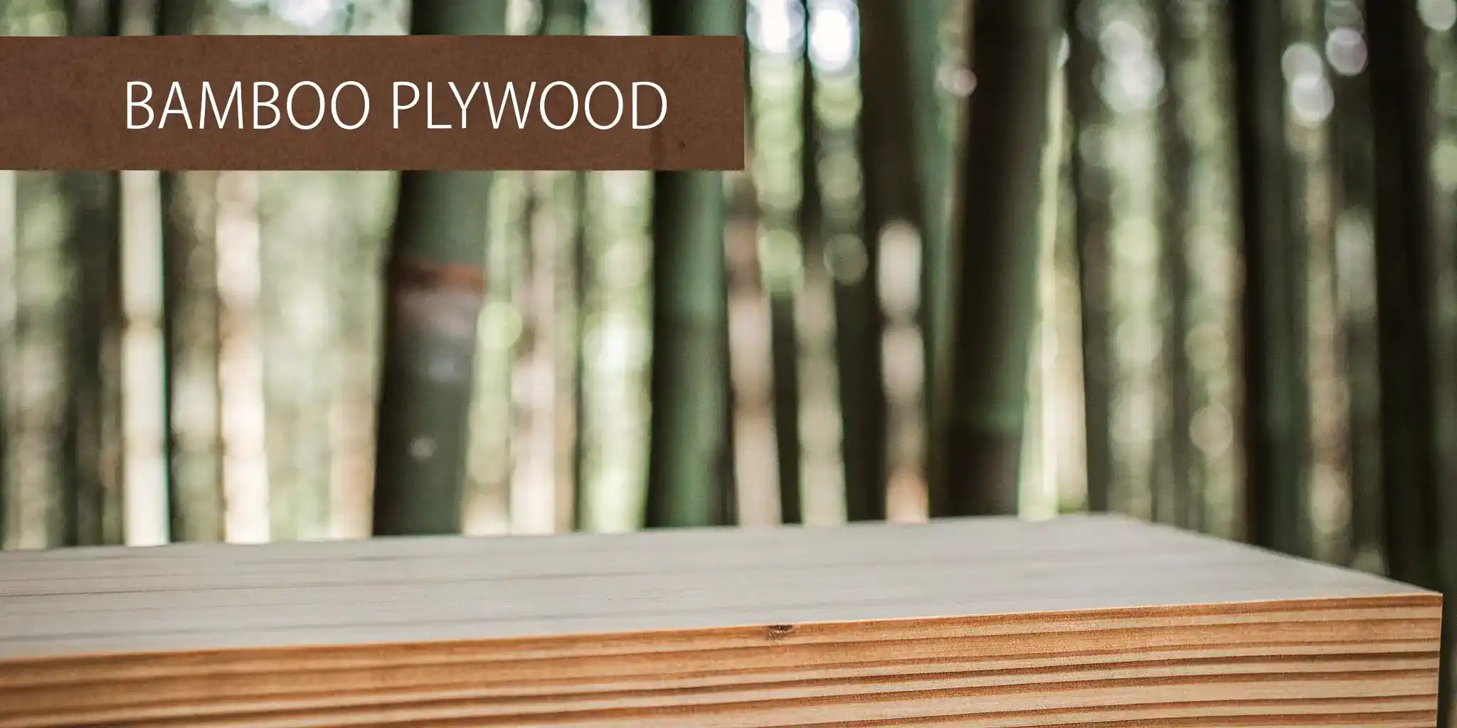 bamboo plywood