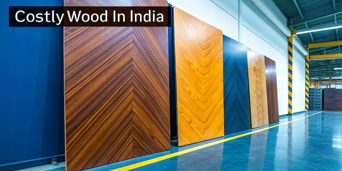 costly wood in india