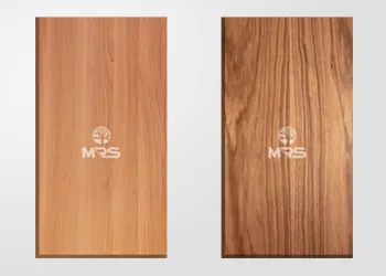 Exploring the Best Flush Door Options in India - MRS Plywood